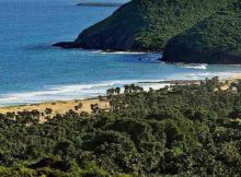 Stock brokers in Vizag