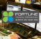 Fortune Trading Review