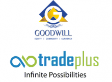 Goodwill Commodities Vs Trade Plus Online