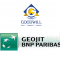 Goodwill Commodities Vs Geojit BNP Paribas