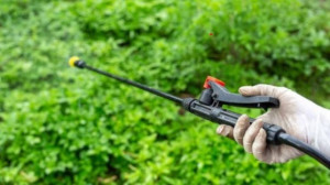 How to Apply for India Pesticides IPO