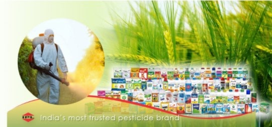 India Pesticides IPO Review