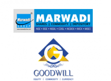 Goodwill Commodities Vs Marwadi Shares