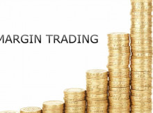 Tradejini Margin