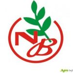 Narmada Bio Chem IPO