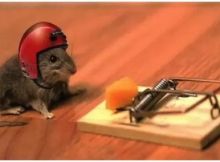 Intraday Trading Safe