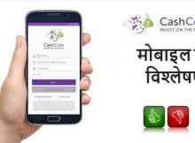 Cashcow Hindi Review
