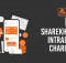 sharekhan intraday charges