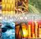 5Paisa Commodity Trading