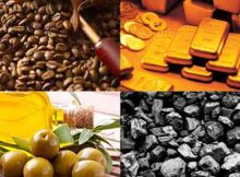 Start Commodity Trading