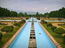 Stock brokers in Jamshedpur