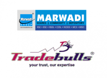 Marwadi Shares Vs Tradebulls