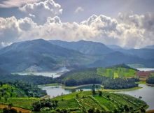 Stock brokers in Ooty