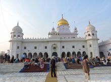 Stock brokers in Patiala