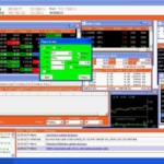 वेंचुरा पॉइंटर