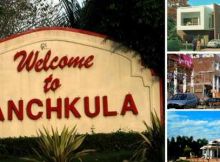 Stock brokers in Panchkula