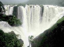 Stock Brokers in Shimoga