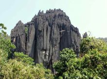 Stock brokers in Uttara Kannada