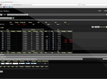 Interactive Brokers Review