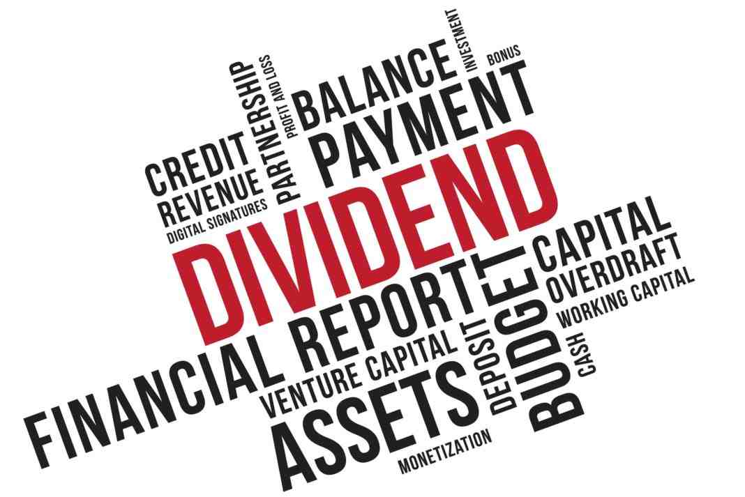 Dividend Stocks Meaning Benefits, Growth, Selection, Returns in India